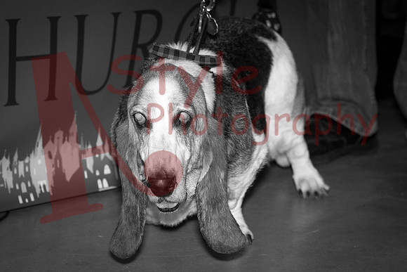 2-20CastleChurchBrewing-1686-2