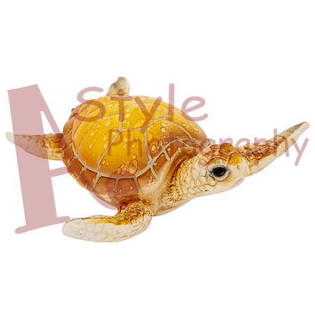 2-22GlobeImports5662