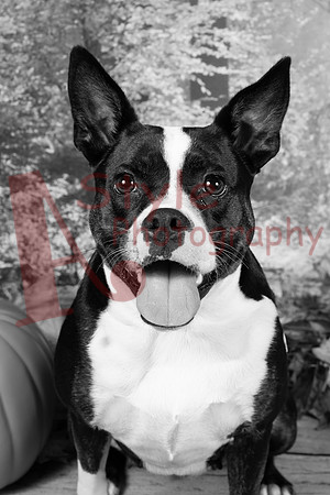 11-24Luna5440-78747-2