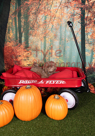 10-24Ferris-2807-76835